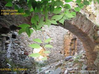 stoleone-31-08-2015 09-06-03